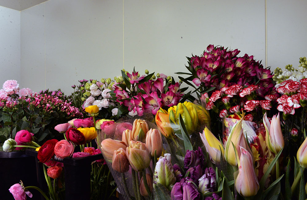 【葬祭ディレクター】経験不問・経験者歓迎！年収500万円以上も可能