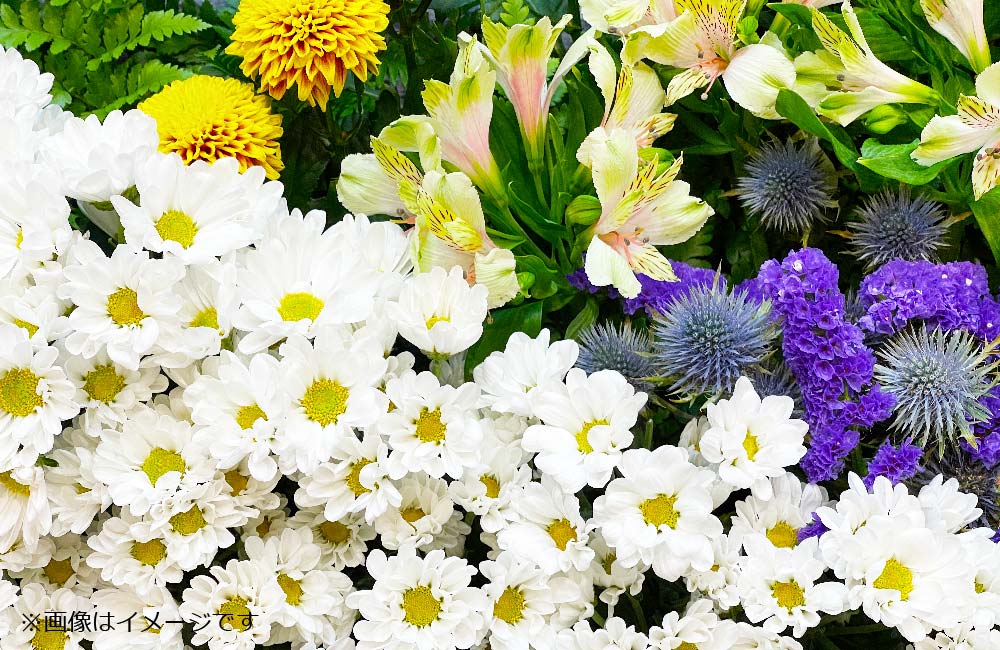 【生花スタッフ】プライム上場／好待遇／生花経験者必見！